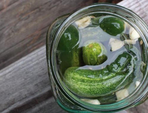 How To Make Half Sour Refrigerator Pickles Savory Saver